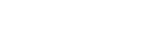 Connect-logo